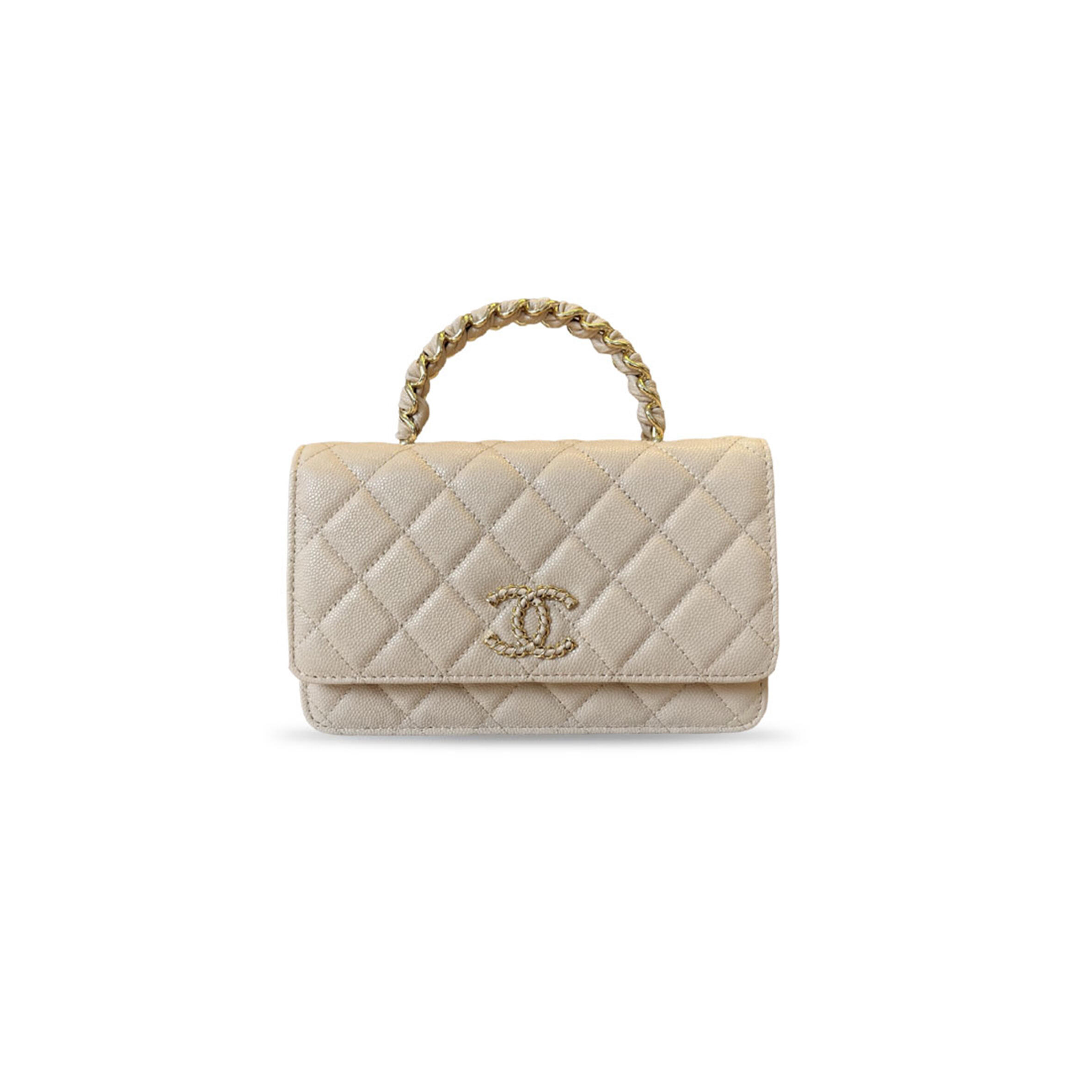 CHANEL PORTABLE FLAP BAG A96176 (19.5*17*5cm) 
